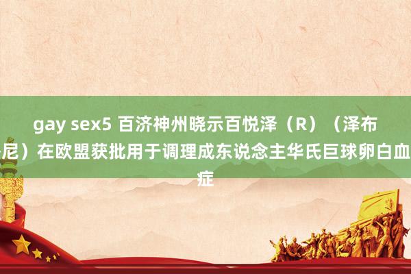 gay sex5 百济神州晓示百悦泽（R）（泽布替尼）在欧盟获批用于调理成东说念主华氏巨球卵白血症