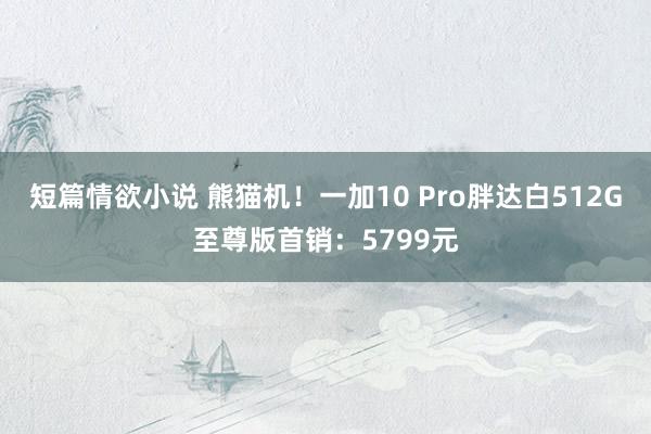 短篇情欲小说 熊猫机！一加10 Pro胖达白512G至尊版首销：5799元