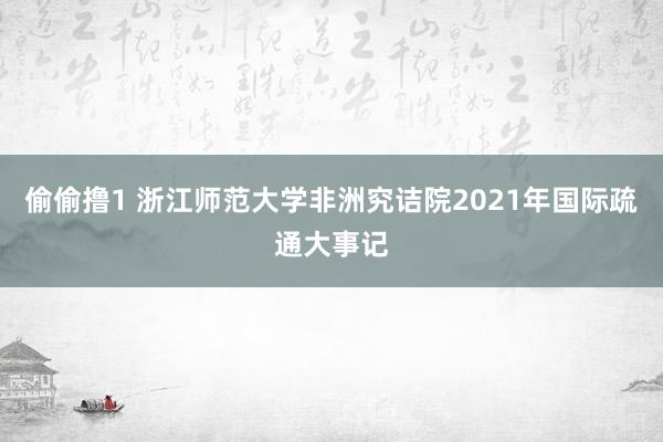 偷偷撸1 浙江师范大学非洲究诘院2021年国际疏通大事记