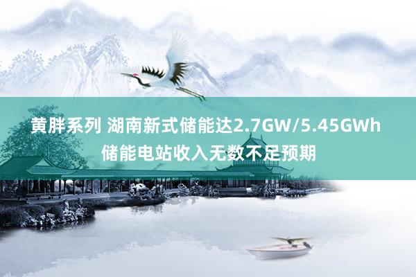 黄胖系列 湖南新式储能达2.7GW/5.45GWh 储能电站收入无数不足预期