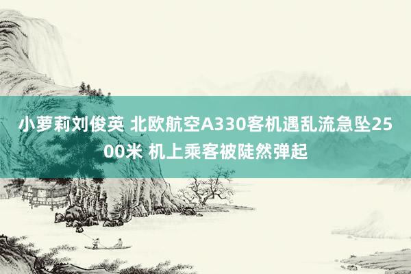 小萝莉刘俊英 北欧航空A330客机遇乱流急坠2500米 机上乘客被陡然弹起