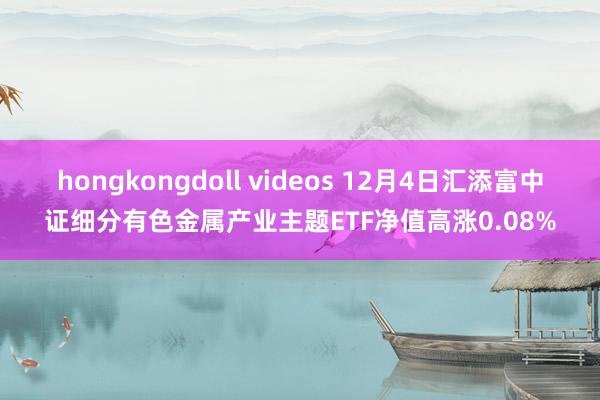 hongkongdoll videos 12月4日汇添富中证细分有色金属产业主题ETF净值高涨0.08%