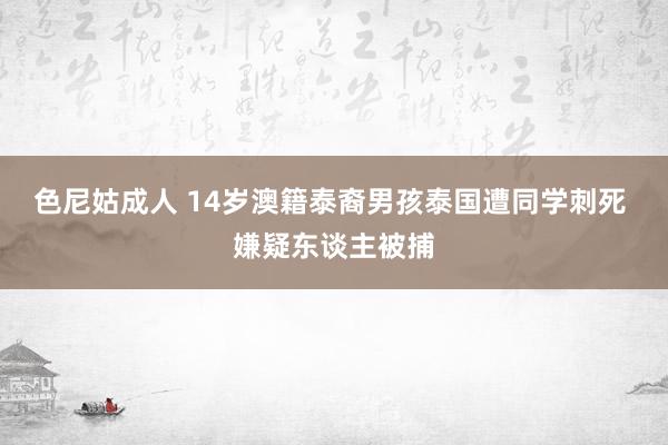 色尼姑成人 14岁澳籍泰裔男孩泰国遭同学刺死 嫌疑东谈主被捕