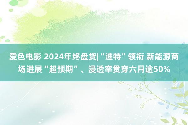 爱色电影 2024年终盘货|“迪特”领衔 新能源商场进展“超预期”、浸透率贯穿六月逾50%